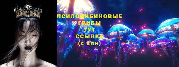 герыч Алексин