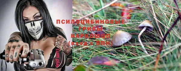прущий лед Алексеевка